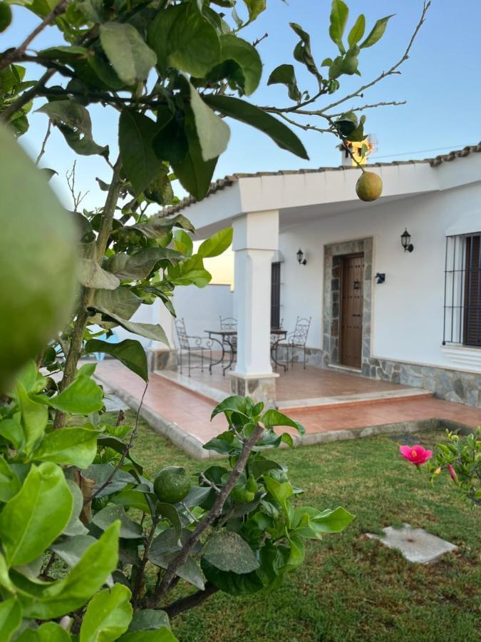 Chalet La Primera Piedra Conil De La Frontera Buitenkant foto